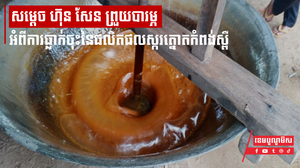 សម្តេច ហ៊ុន សែន ព្រួយបារម្ភចំពោះការធ្លាក់ចុះនៃផលិតផលស្ករត្នោតកំពង់ស្ពឺ