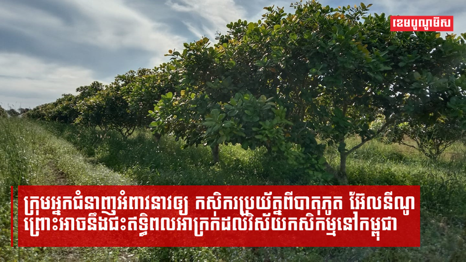 ក្រុមអ្នកជំនាញអំពាវនាវឲ្យ កសិករប្រយ័ត្នពីបាតុភូត អ៊ែលនីណូ ព្រោះអាចនឹងជះឥទ្ធិពលអាក្រក់ដល់វិស័យកសិកម្មនៅកម្ពុជា