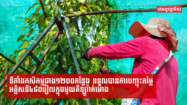 ទីតាំងកសិកម្មជាង១២០០ បានអនុវត្តគោលនយោបាយអនុគ្រោះថ្លៃអគ្គិសនីកសិកម្ម៤៨០៛/KWh