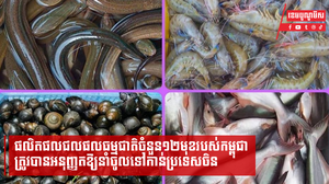 ក្រុមហ៊ុនដំបូងគេមួយ ទទួលបានសិទ្ធិនាំចេញផលិតផលជលផលធម្មជាតិចំនួន១២មុខ ទៅកាន់ទីផ្សារចិន
