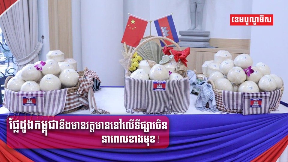 វិស័យកសិកម្ម