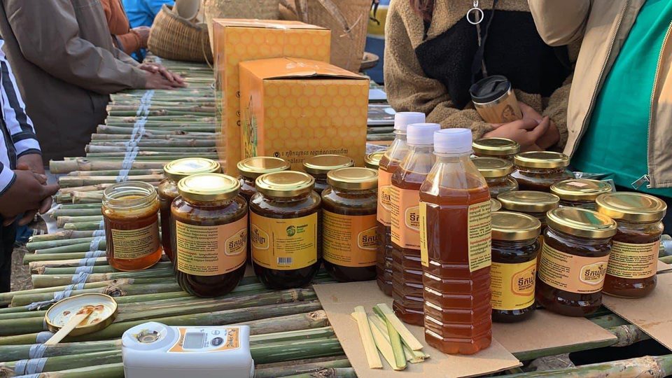 ទឹកឃ្មុំព្រៃមណ្ឌលគិរី