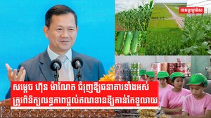 វិស័យហិរញ្ញវត្ថុ