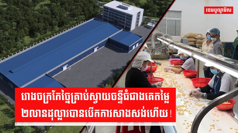 រោងចក្រកែច្នៃគ្រាប់ស្វាយចន្ទី