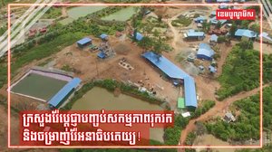 រ៉ែមាស