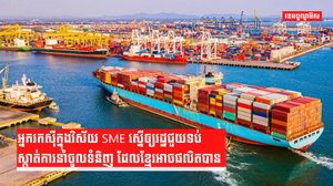 វិស័យ SME