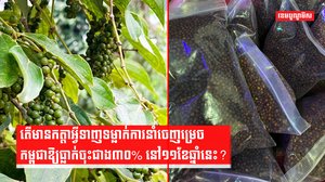 វិស័យកសិកម្ម