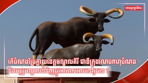 វិស័យអាកាសចរណ៍