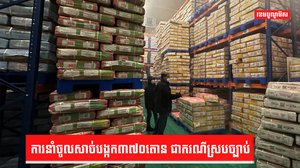 សាច់បង្កក