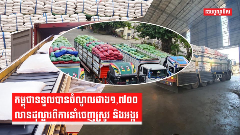 វិស័យស្រូវ-អង្ករ