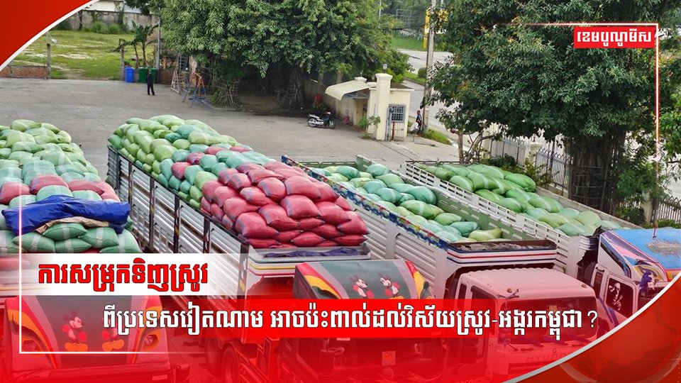 វិស័យស្រូវ-អង្ករ
