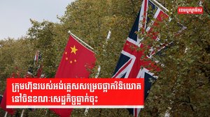 វិនិយោគិនបរទេស