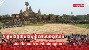 វិស័យទេសចរណ៍