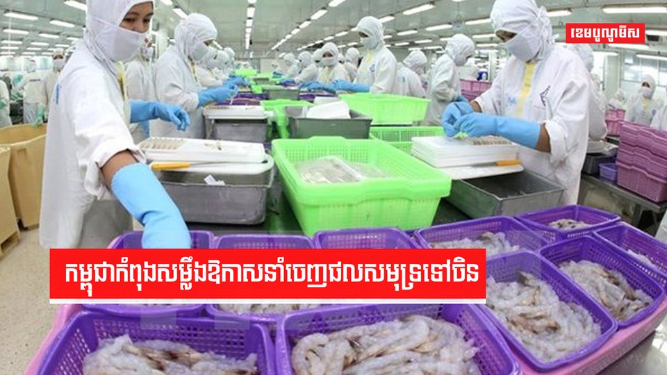 កម្ពុជាទើបសាកល្បងនាំចេញ ត្រីប្រាបានចំនួន១កុងតឺនឺ