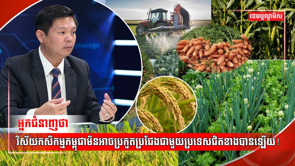 វិស័យកសិកម្ម