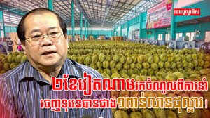 ដំណាំទុរេន