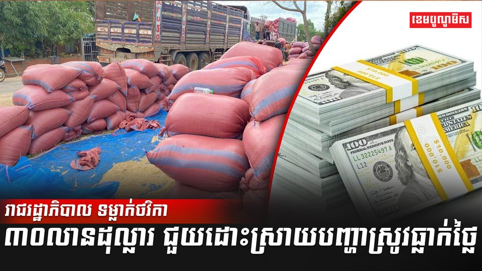 វិស័យស្រូវអង្ករ