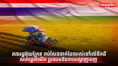 វិស័យស្រូវ អង្ករ