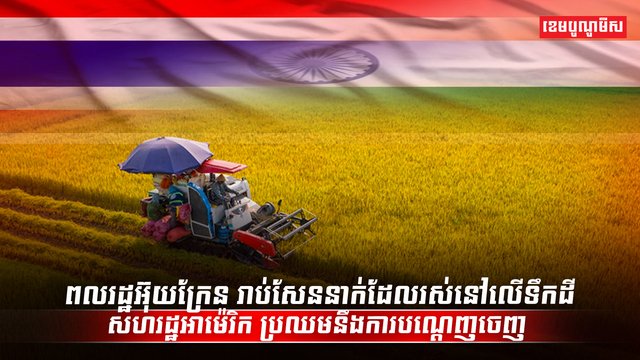វិស័យស្រូវ អង្ករ