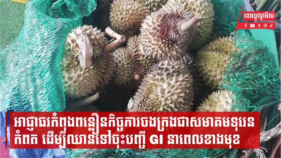 អាជ្ញាធរកំពុងពន្លឿនកិច្ចការចងក្រងសមាគមទុរេនកំពត ដើម្បីឈានទៅចុះបញ្ចីម៉ាកសម្គាល់ភូមិសាស្ត្រទំនិញ (GI)