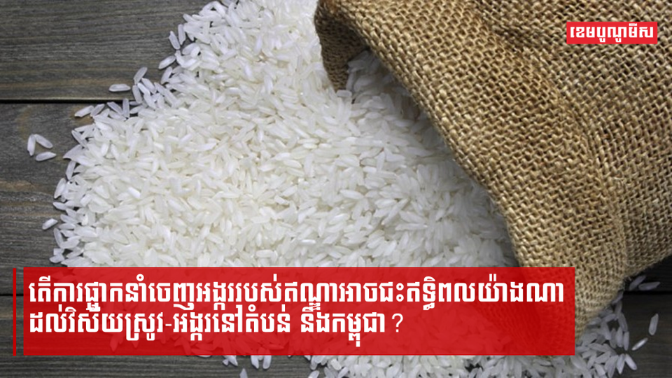 តើការផ្អាកនាំចេញអង្កររបស់ឥណ្ឌាអាចជះឥទ្ធិពលយ៉ាងណាដល់វិស័យស្រូវ-អង្ករនៅតំបន់ និងកម្ពុជា?