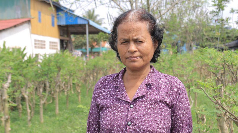 លោកយាយ ឡាយ ថុន គឺជាកសិករដាំម្រុំនៅឃុំស្វាយប្រទាល(រូបថត៖ (វណ្ណ លីដា)