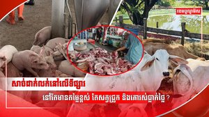 កសិដ្ឋានចិញ្ចឹមជ្រូក