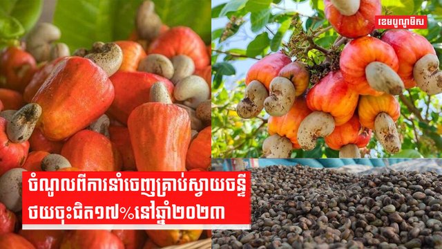 វិស័យកសិកម្ម