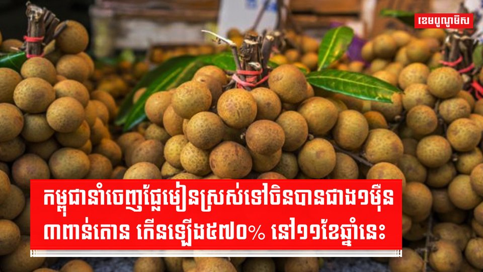 វិស័យកសិកម្ម