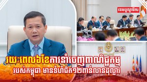 វិស័យពាណិជ្ជកម្ម