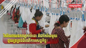 វិស័យវាយនភណ្ឌ