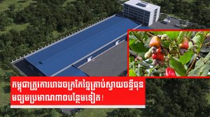 ស្វាយចន្ទីកម្ពុជា