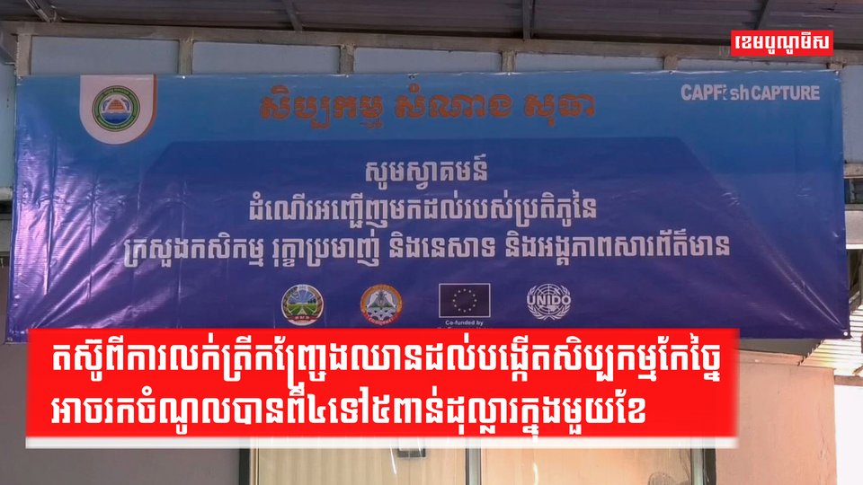 តស៊ូពីការលក់ត្រីកញ្ច្រែងឈានដល់បង្កើតសិប្បកម្មកែច្នៃ