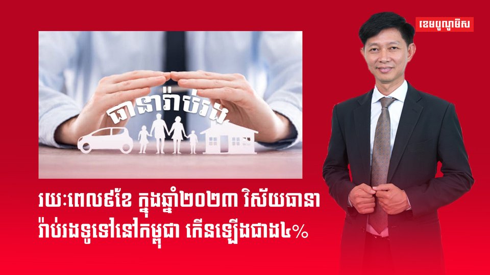 វិស័យធានារ៉ាប់រង