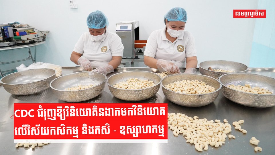 CDC ជំរុញឱ្យវិនិយោគិនងាកមកវិនិយោគលើវិស័យកសិកម្ម និងកសិ-ឧស្សាហកម្ម