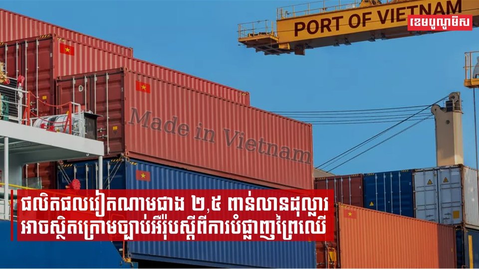 ផលិតផលវៀតណាមជាង២,៥ពាន់លានដុល្លារអាចស្ថិតក្រោមច្បាប់អឺរ៉ុបស្ដីពីការបំផ្លាញព្រៃឈើ