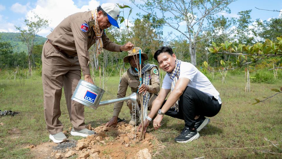 អិលអូអិលស៊ី