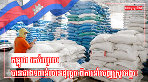 វិស័យកសិកម្ម