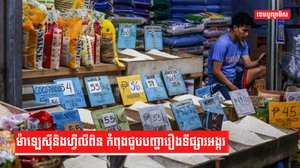 បញ្ហាទីផ្សារស្រូវ /អង្ករ