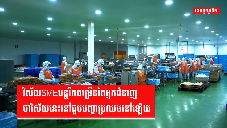 វិស័យSME