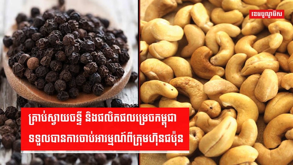 វិស័យកសិកម្ម