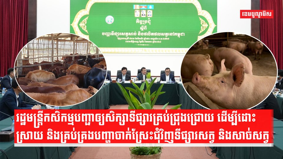 សត្វចិញ្ចឹមក្នុងស្រុក
