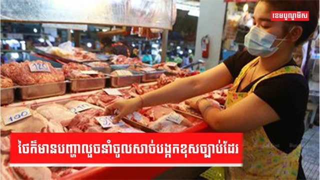ថៃក៏មានបញ្ហាលួចនាំចូលសាច់បង្កក