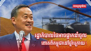 វិស័យកសិកម្ម