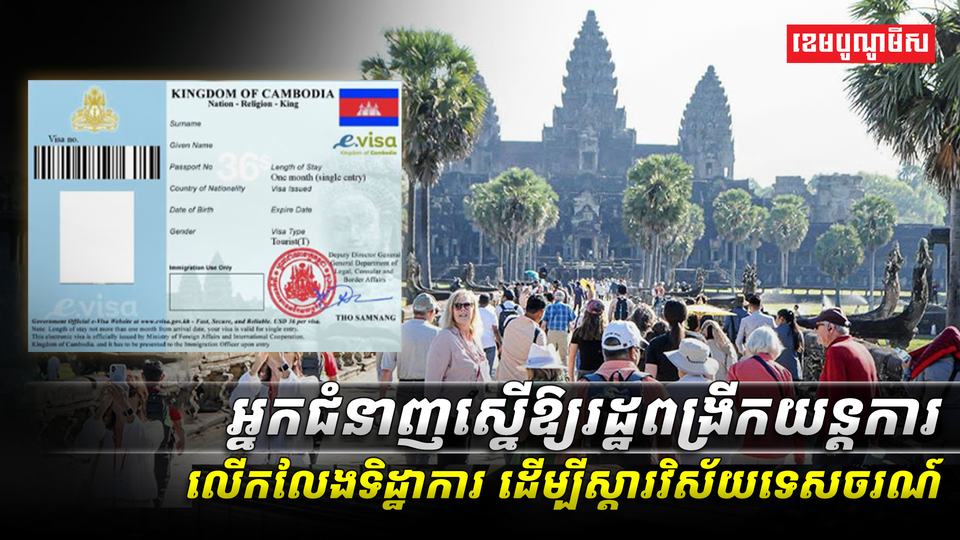 វិស័យការបរទេស