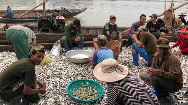 ជំងឺកូវីដ១៩ មិនអាចរុញច្រានកម្ពុជានាំចេញផលនេសាទធ្លាក់ចុះឡើយ រយៈពេល៣ខែឆ្នាំនេះ (រូបភាព MAFF)