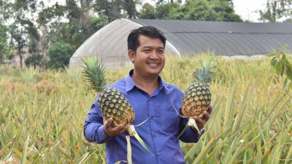 លោកសាយ ពន្លឺចិត្តៈករុណា ម្ចាស់​ចម្ការម្នាស់​ ១៥ ហិកតា នៅខេត្ត​ស្ទឹងត្រែង