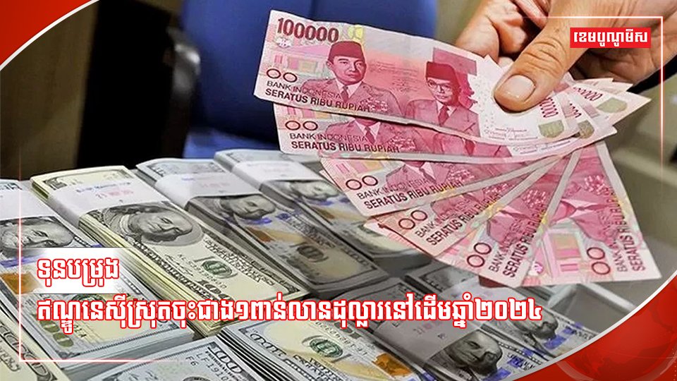 ទុនបម្រុងឥណ្ឌូនេស៊ី