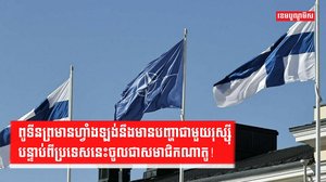 អង្គការណាតូ
