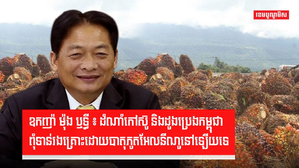 ឧកញ៉ា ម៉ុង ឬទ្ធី ៖ ដំណាំកៅស៊ូ និងដូងប្រេងកម្ពុជា ពុំទាន់រងគ្រោះដោយបាតុភូតអែលនីណូនៅឡើយទេ
